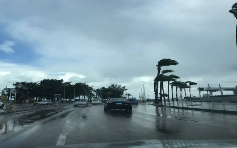 أمطار رعدية مصحوبة ببرد وتقلبات جوية حادة تضرب البلاد خلال الساعات القادمة